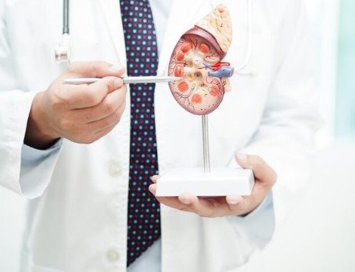 Best Urology Treatment in Noida