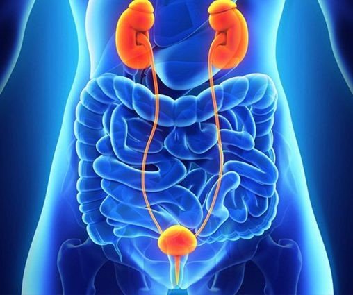 Uro Oncologist in Noida